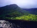 The land 4