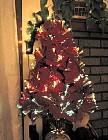 poinsettia tree