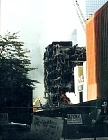 skeleton of WTC5