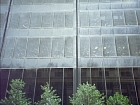 ash-covered windows